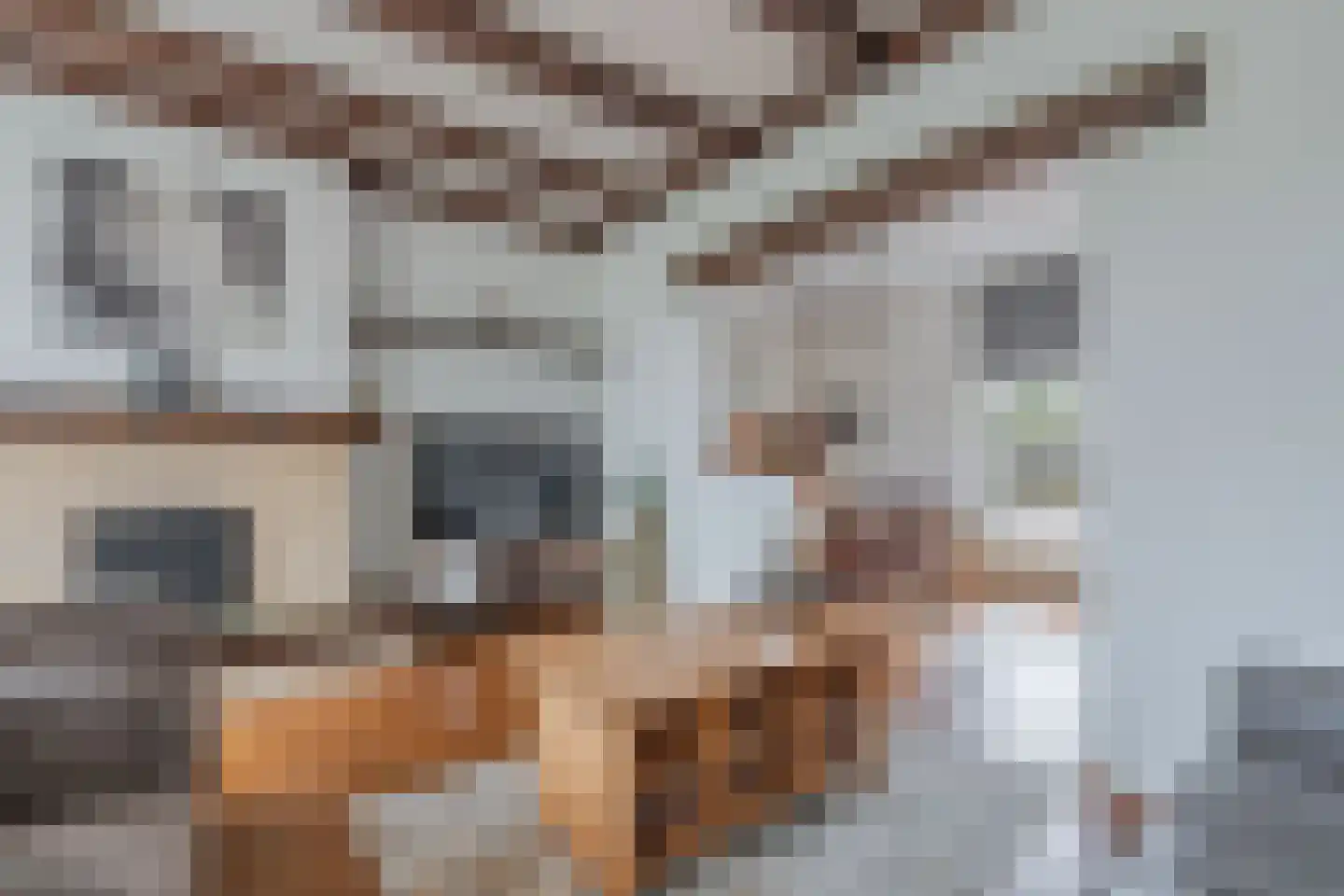 Spaarbankstraat 2 Franeker thumbnail 21