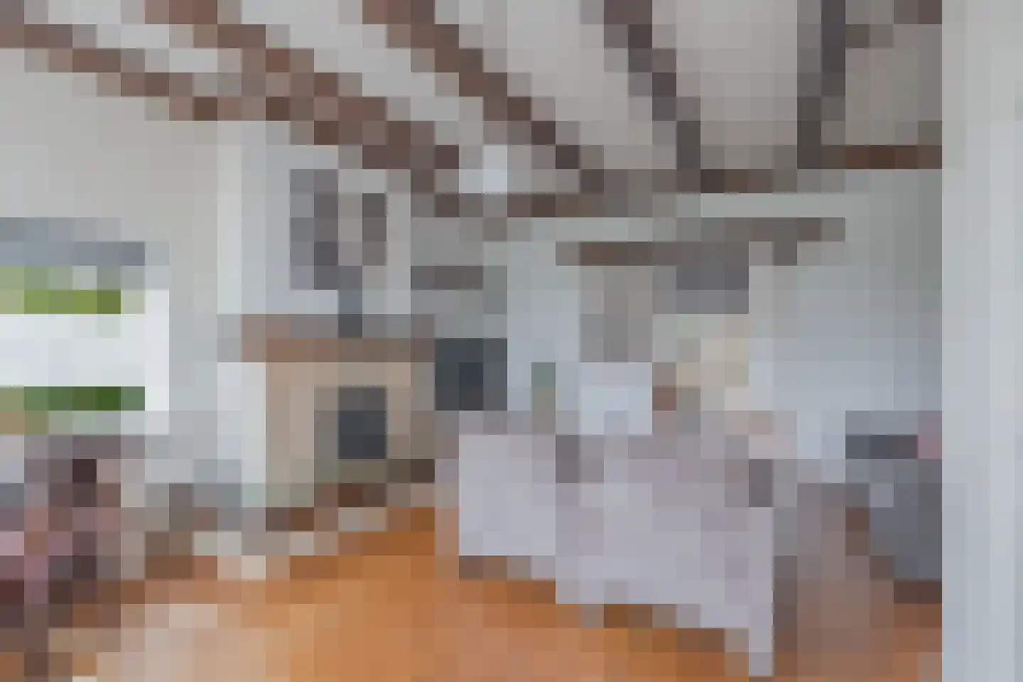 Spaarbankstraat 2 Franeker thumbnail 22