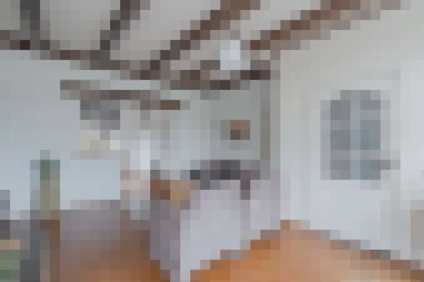 Spaarbankstraat 2 Franeker thumbnail 23