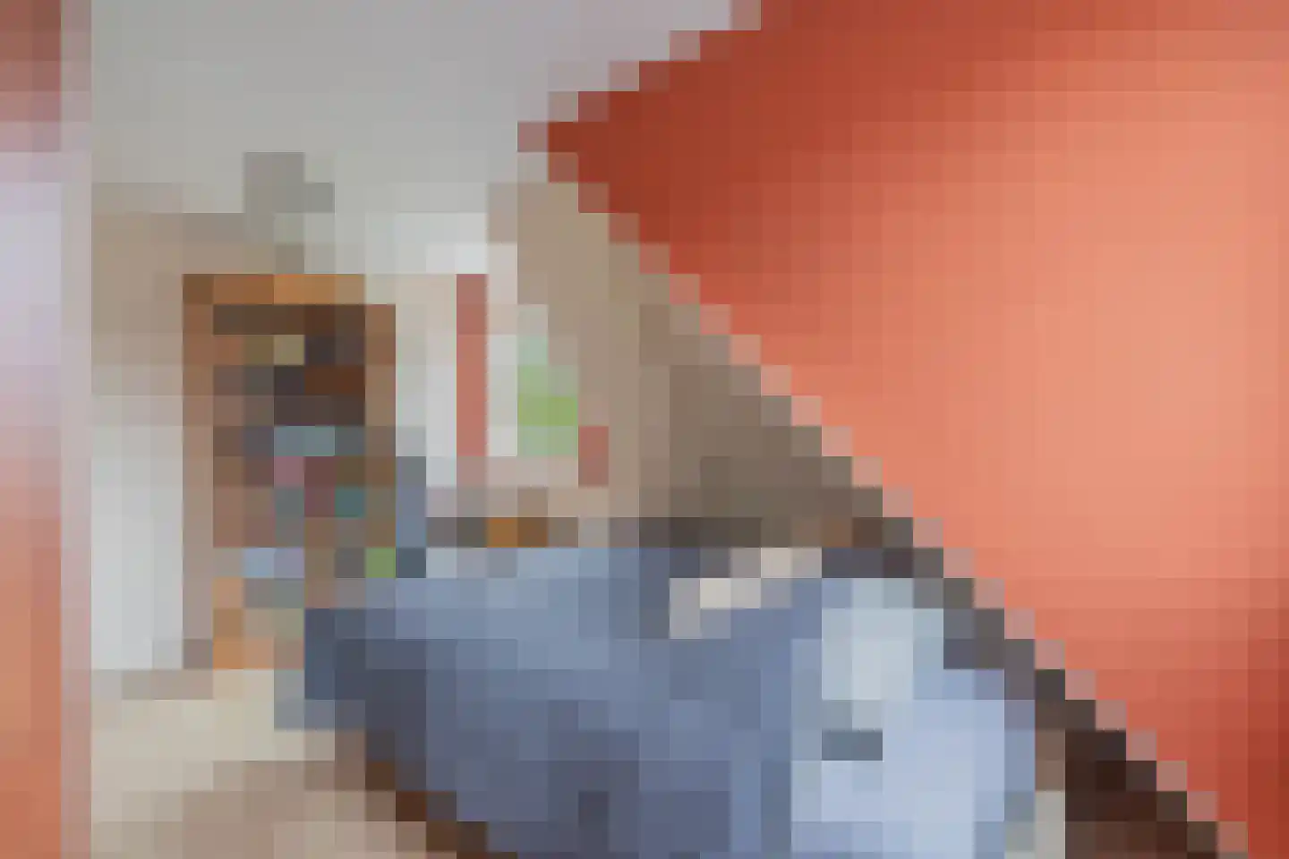 Spaarbankstraat 2 Franeker thumbnail 34