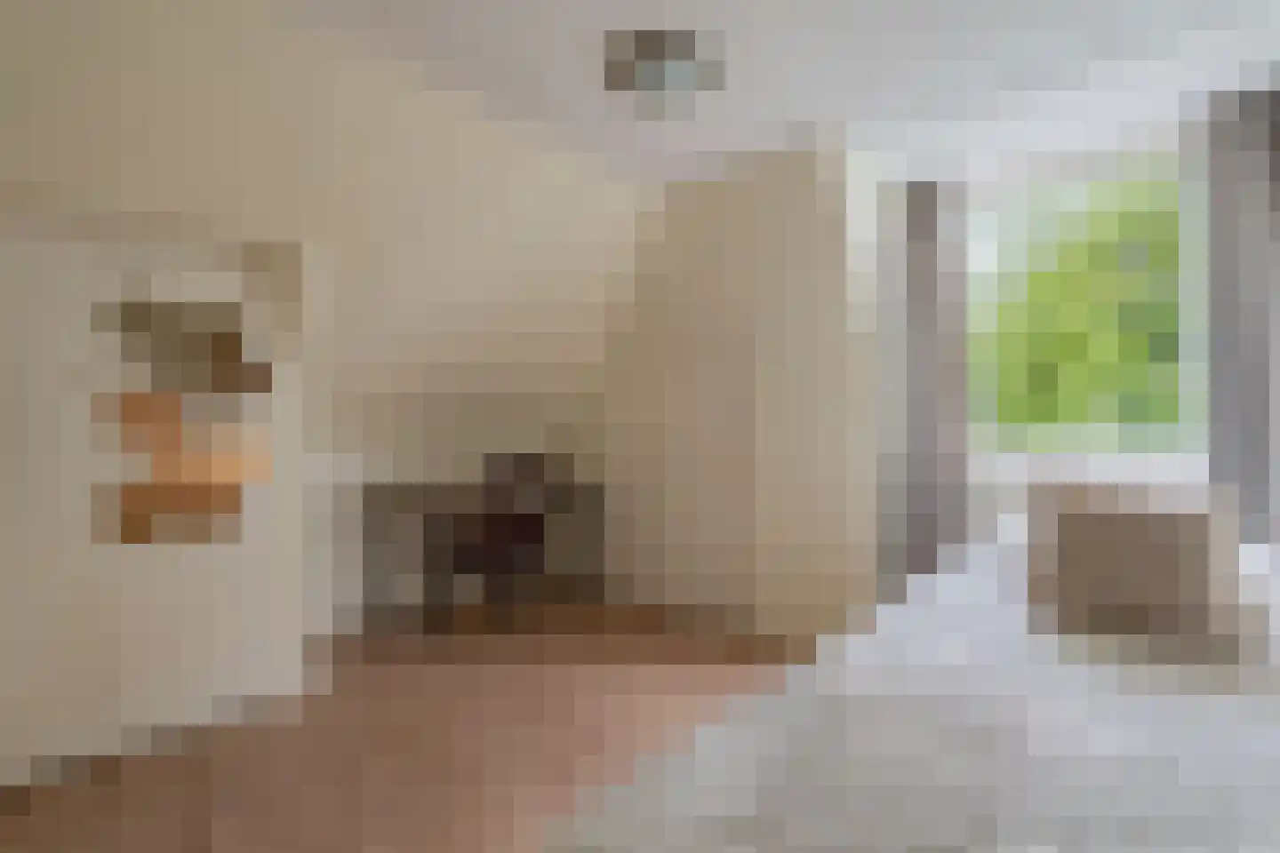 Spaarbankstraat 2 Franeker thumbnail 35