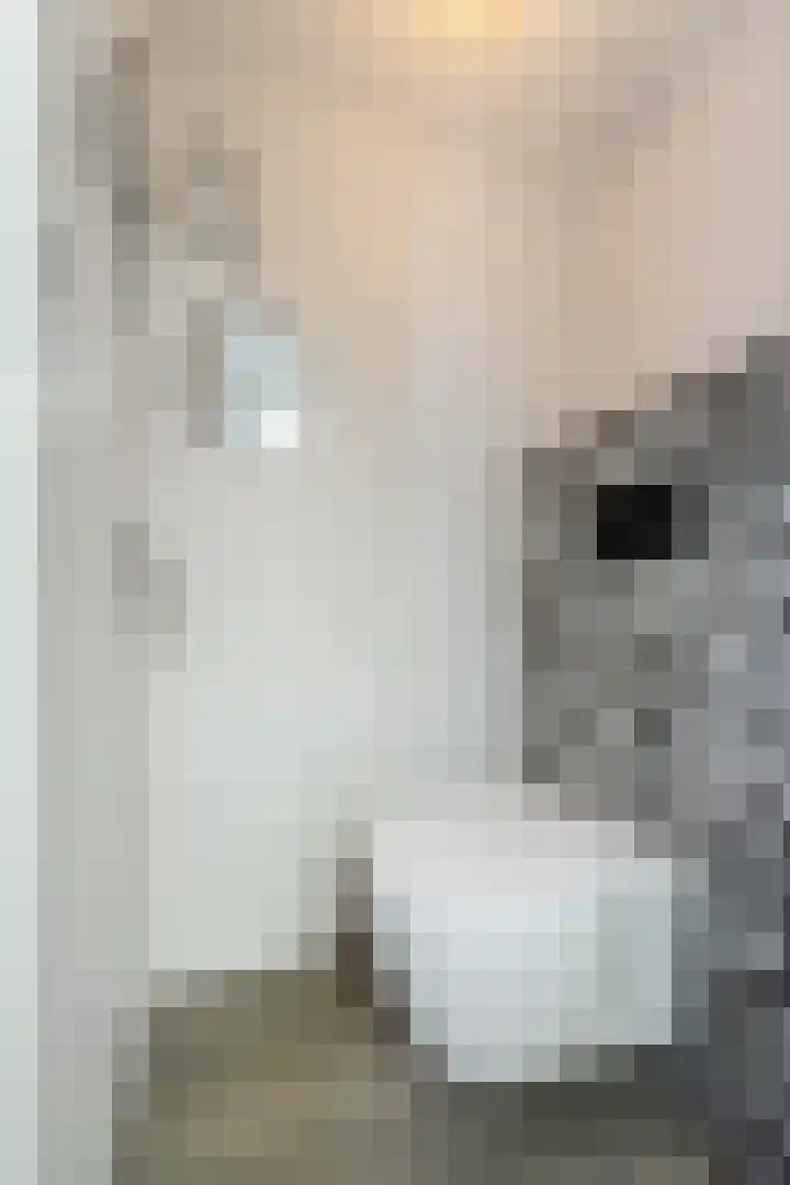 Spaarbankstraat 24 Kampen thumbnail 10