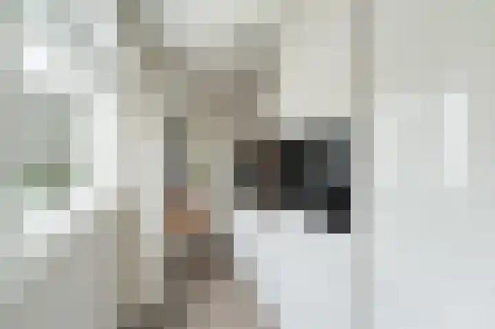 Spaarbankstraat 24 Kampen thumbnail 16