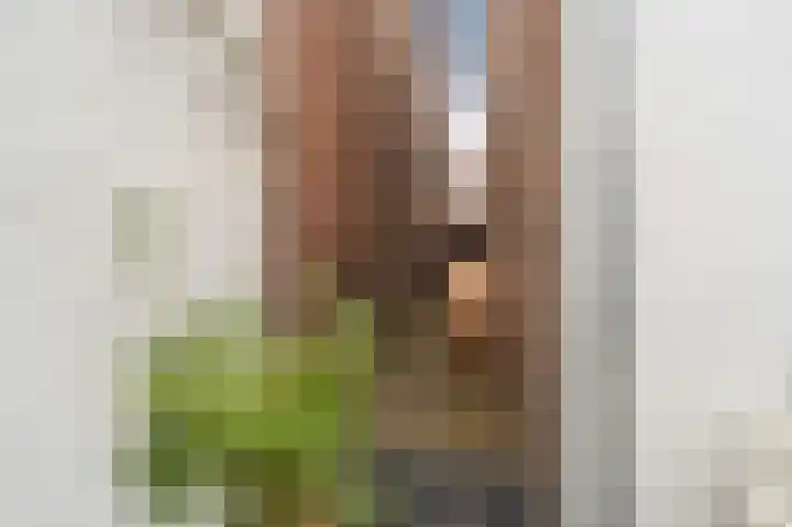 Spaarbankstraat 24 Kampen thumbnail 23