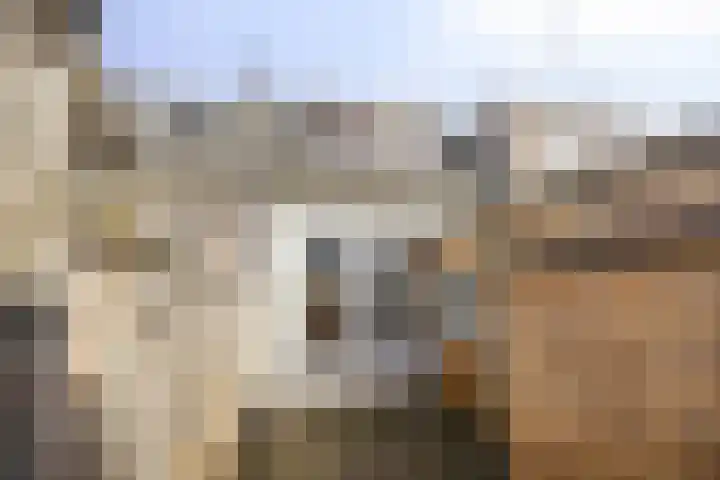 Spaarbankstraat 32 Kampen thumbnail 20