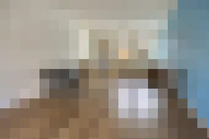 Spaarbankstraat 32 Kampen thumbnail 4