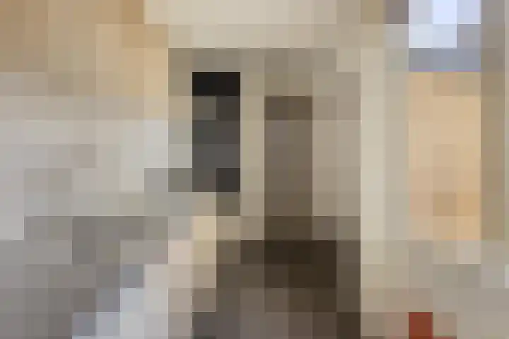 Spaarbankstraat 32 Kampen thumbnail 7