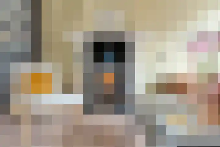 Spaarbankstraat 44 Kampen thumbnail 6