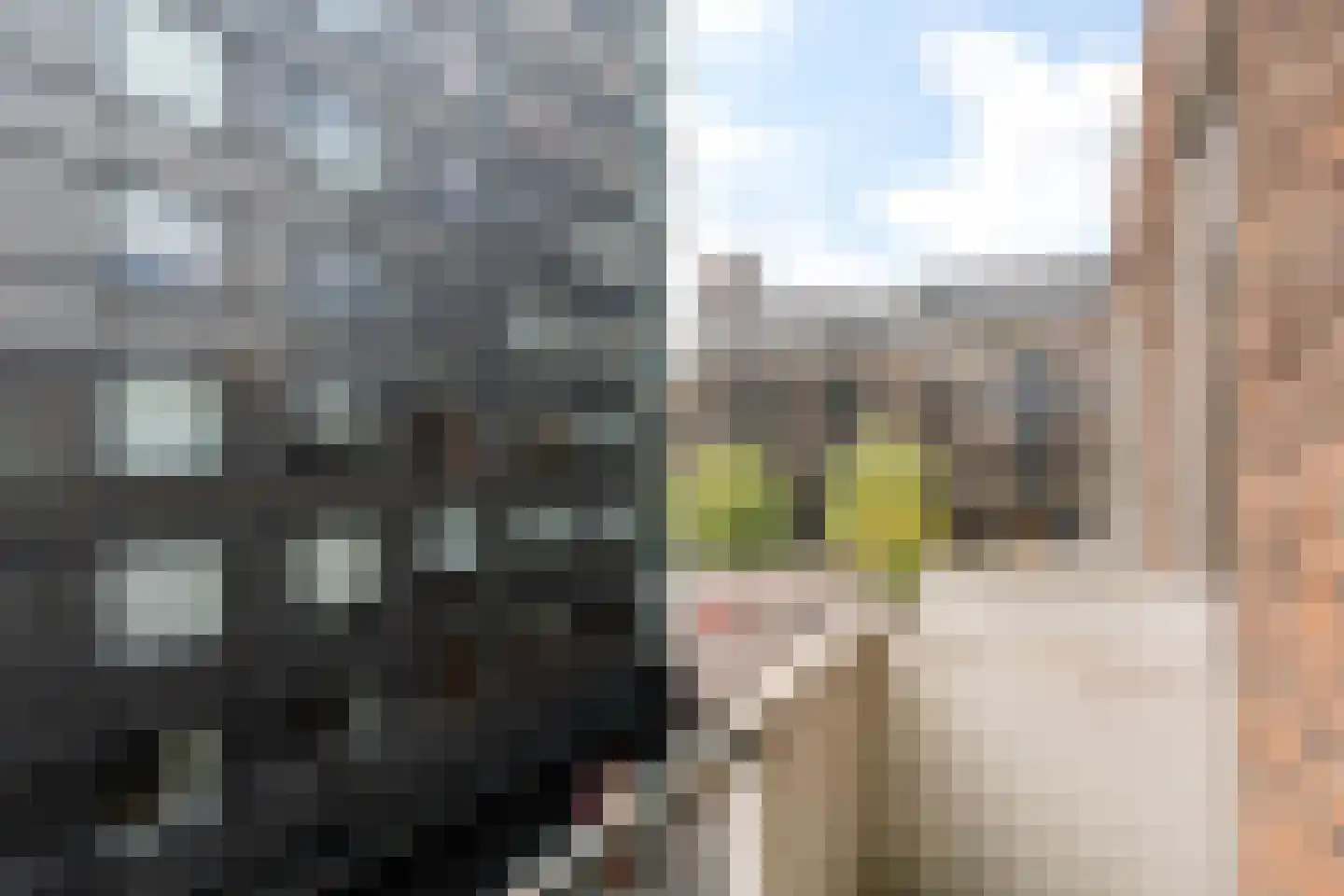 Spaarbankstraat 49 Rotterdam thumbnail 24