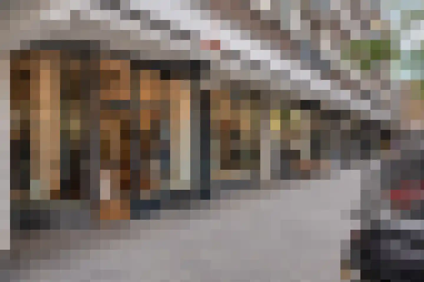 Spaarbankstraat 49 Rotterdam thumbnail 34