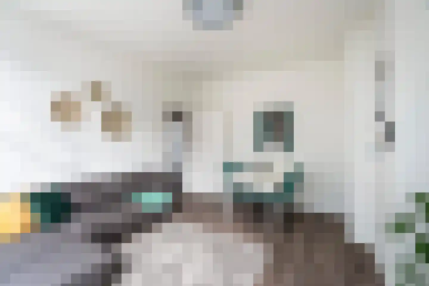 Spaarbankstraat 49 Rotterdam thumbnail 9