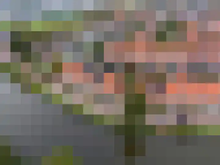 Spaarbankstraat 6 Franeker thumbnail 10