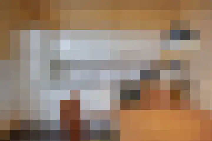 Spaarbankstraat 6 Franeker thumbnail 25