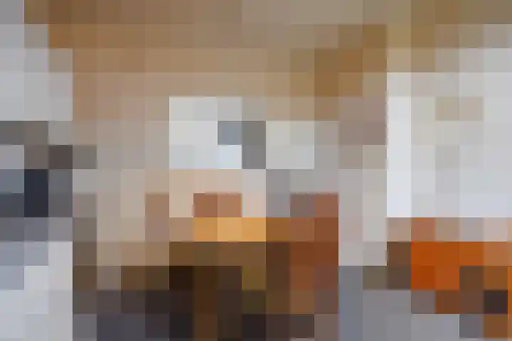 Spaarbankstraat 6 Franeker thumbnail 27