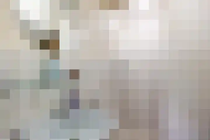 Spaarbankstraat 6 Franeker thumbnail 32