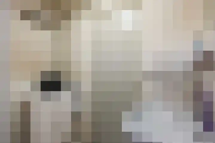 Spaarbankstraat 6 Franeker thumbnail 34