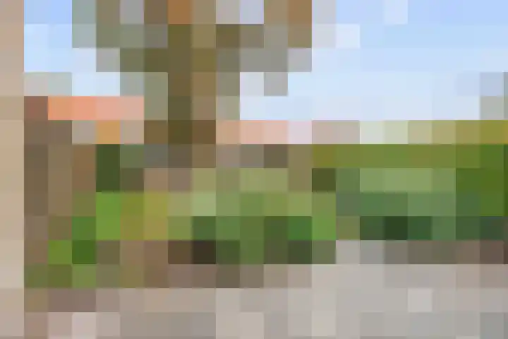 Spaarbankstraat 6 Franeker thumbnail 38