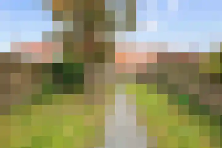 Spaarbankstraat 6 Franeker thumbnail 39