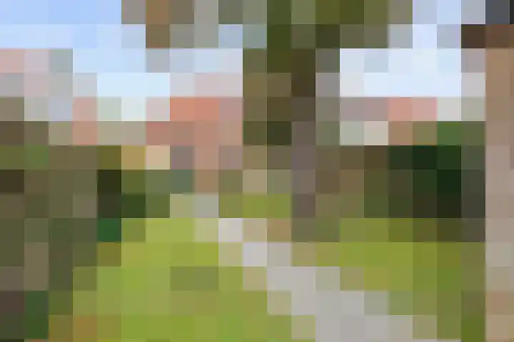 Spaarbankstraat 6 Franeker thumbnail 41