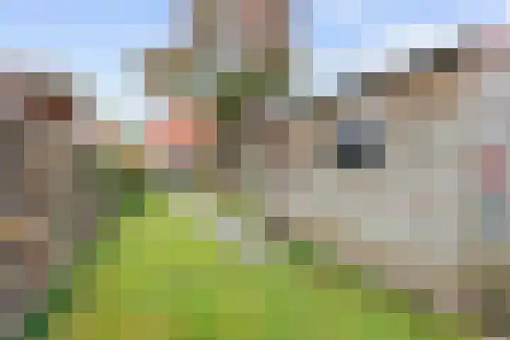 Spaarbankstraat 6 Franeker thumbnail 42