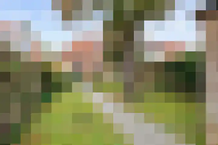 Spaarbankstraat 6 Franeker thumbnail 6