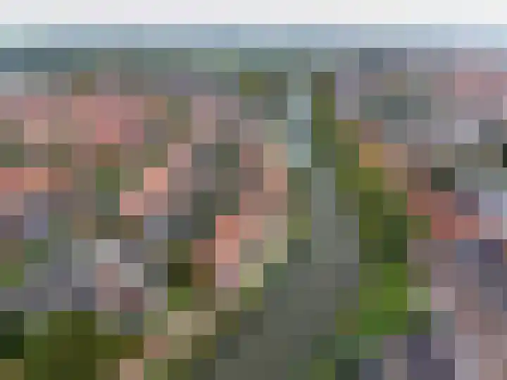 Spaarbankstraat 6 Franeker thumbnail 8