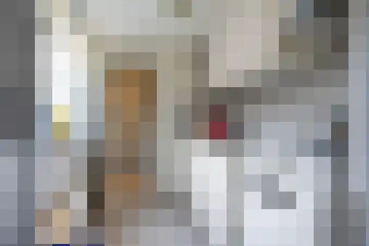 Spaarbankstraat 7 Kampen thumbnail 13