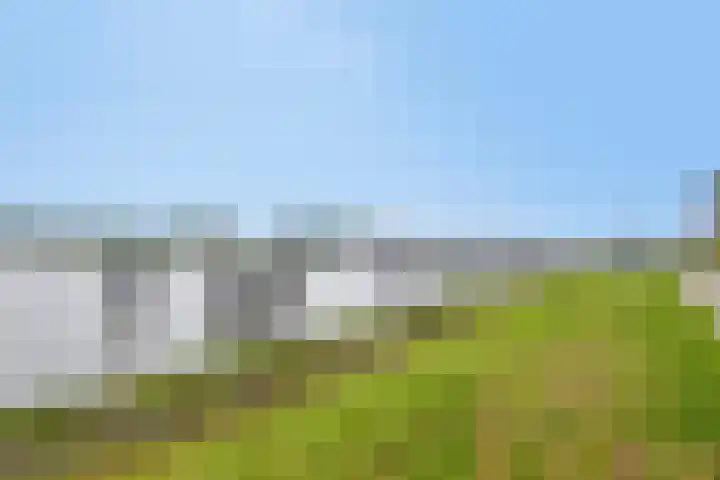 Spaarbankstraat 7 Kampen thumbnail 4