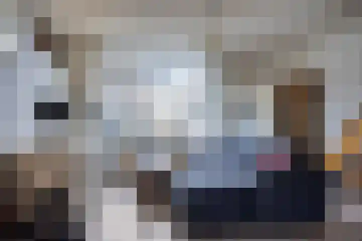 Spaarbankstraat 7 Kampen thumbnail 9