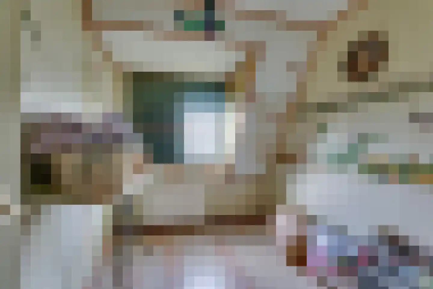 Spaarbankstraat 8 Kampen thumbnail 20