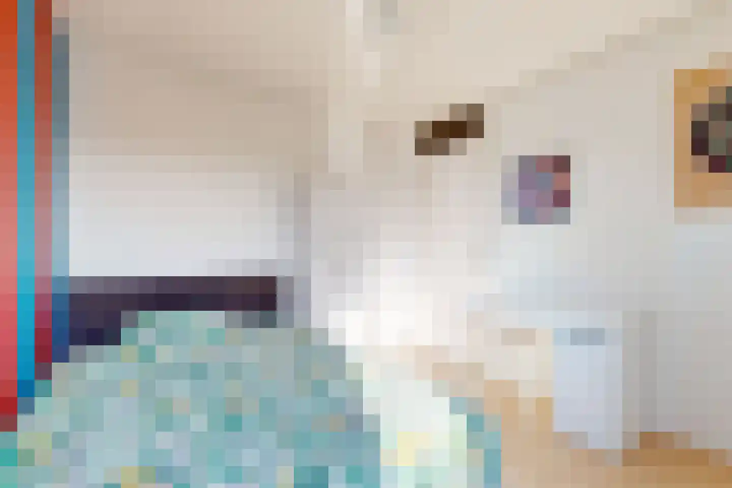 Spaarbekkenkade 12 Purmerend thumbnail 13