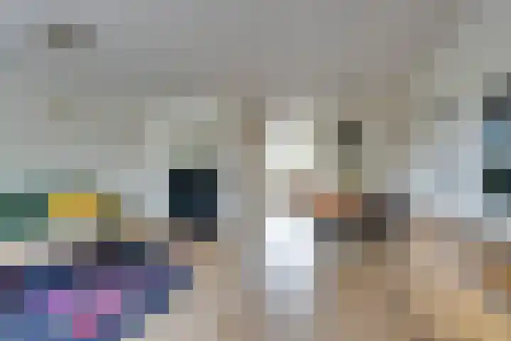 Spaarbekkenkade 6 Purmerend thumbnail 10