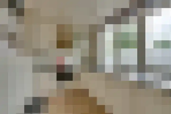 Spaarbekkenkade 6 Purmerend thumbnail 15
