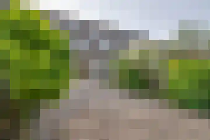 Spaarbekkenkade 6 Purmerend thumbnail 36
