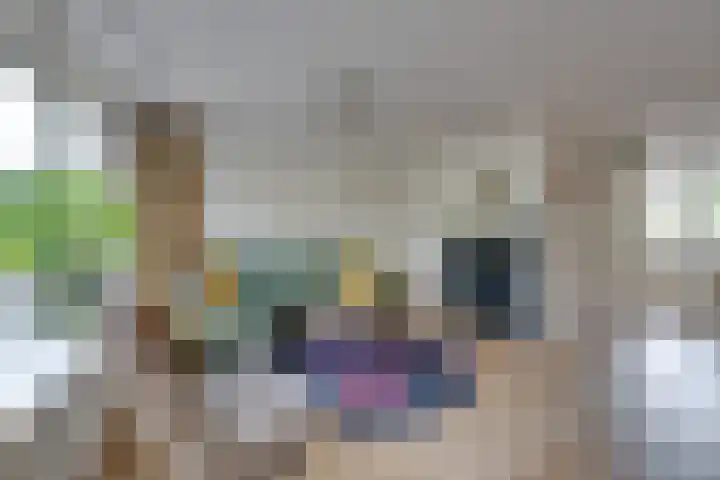 Spaarbekkenkade 6 Purmerend thumbnail 9