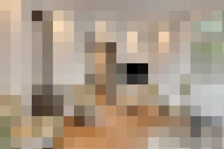 Spaarenbergstraat 4 Gaanderen thumbnail 12