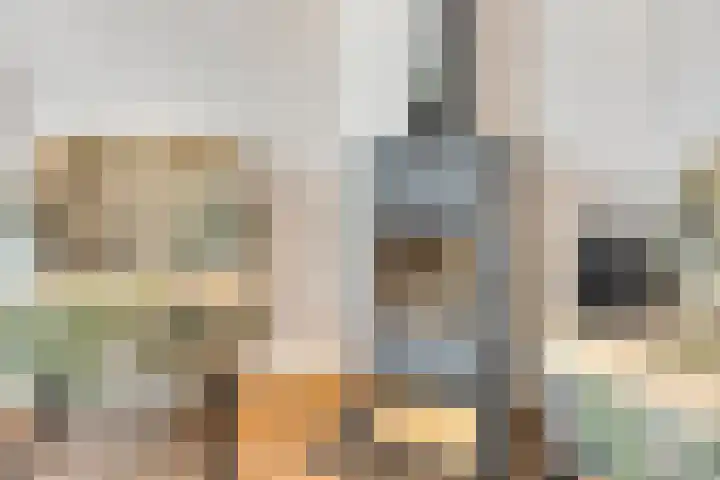 Spaarenbergstraat 4 Gaanderen thumbnail 13