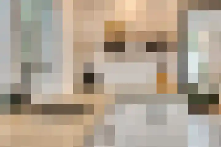 Spaarenbergstraat 4 Gaanderen thumbnail 17