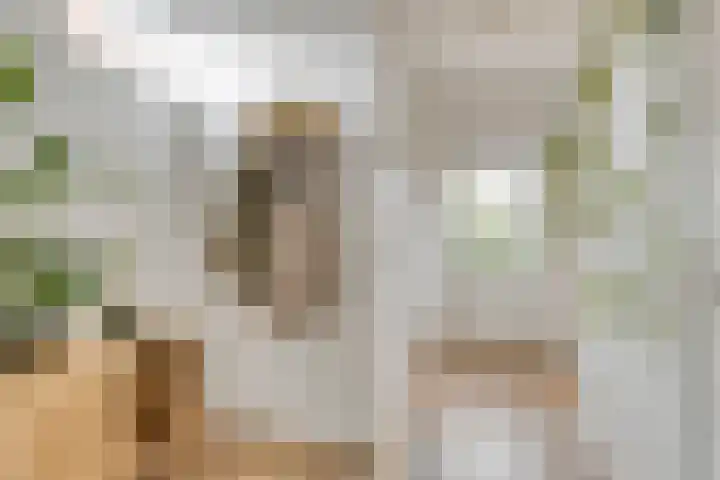 Spaarenbergstraat 4 Gaanderen thumbnail 19