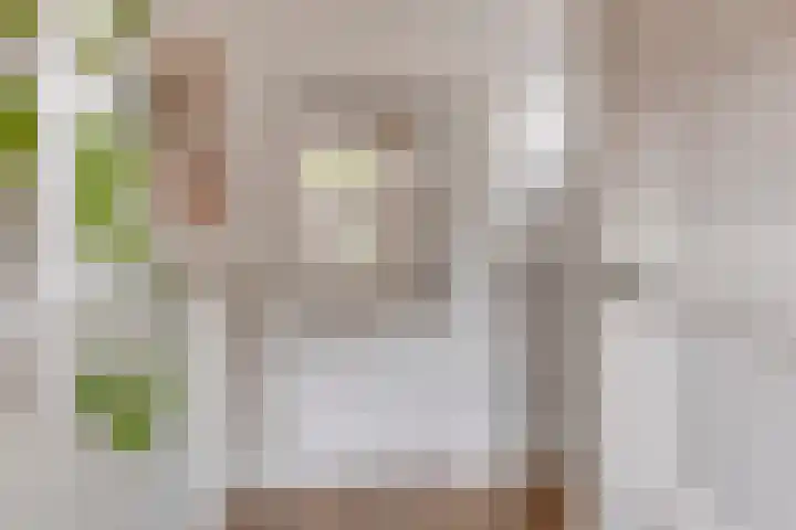 Spaarenbergstraat 4 Gaanderen thumbnail 20