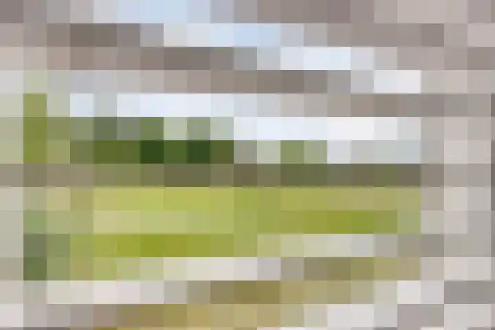 Spaarenbergstraat 4 Gaanderen thumbnail 29