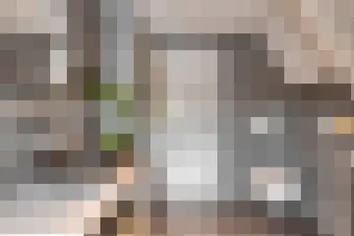 Spaarenbergstraat 4 Gaanderen thumbnail 33