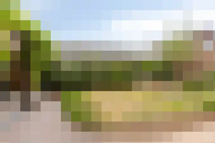 Spaarenbergstraat 4 Gaanderen thumbnail 39