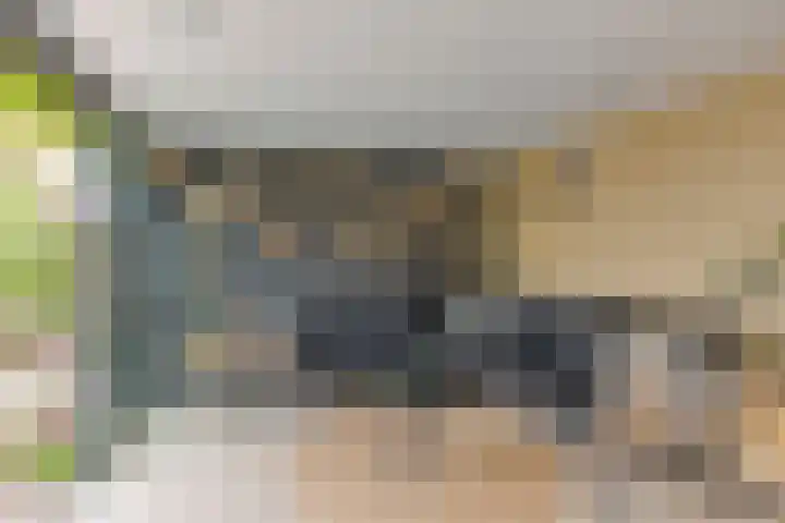 Spaarenbergstraat 4 Gaanderen thumbnail 43