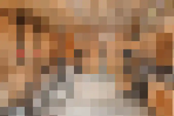 Spaarenbergstraat 4 Gaanderen thumbnail 47