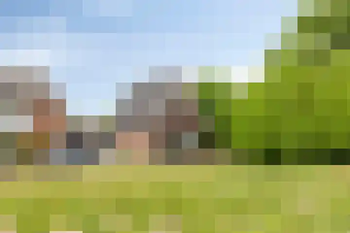 Spaarenbergstraat 4 Gaanderen thumbnail 48