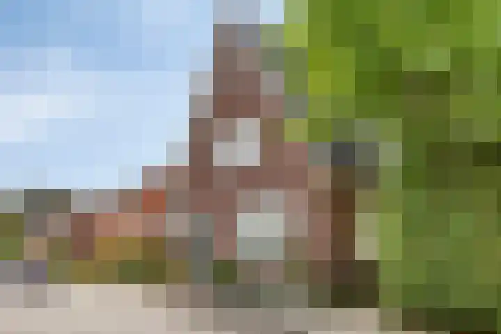 Spaarenbergstraat 4 Gaanderen thumbnail 49