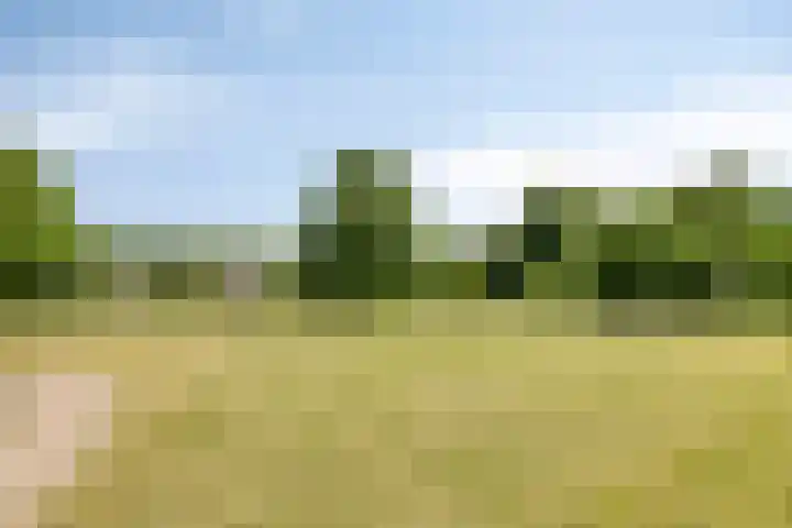 Spaarenbergstraat 4 Gaanderen thumbnail 53