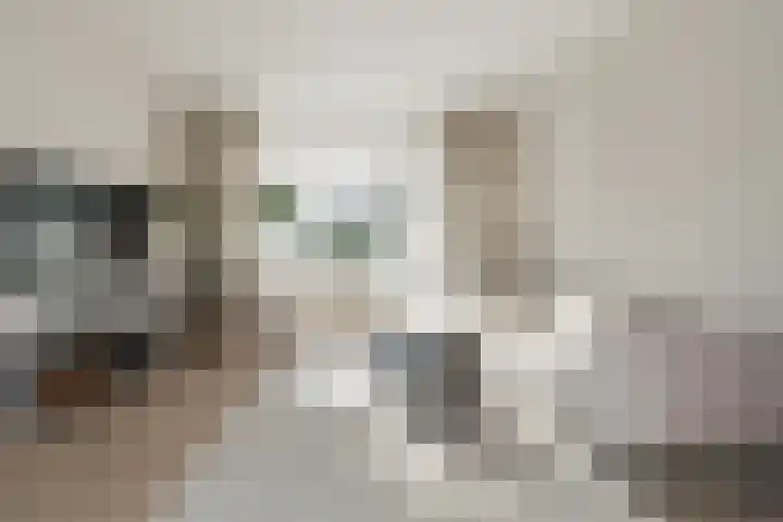 Spaargarenstraat 31 Oegstgeest thumbnail 10