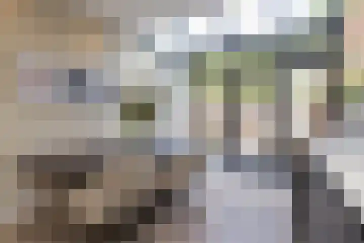 Spaargarenstraat 31 Oegstgeest thumbnail 19